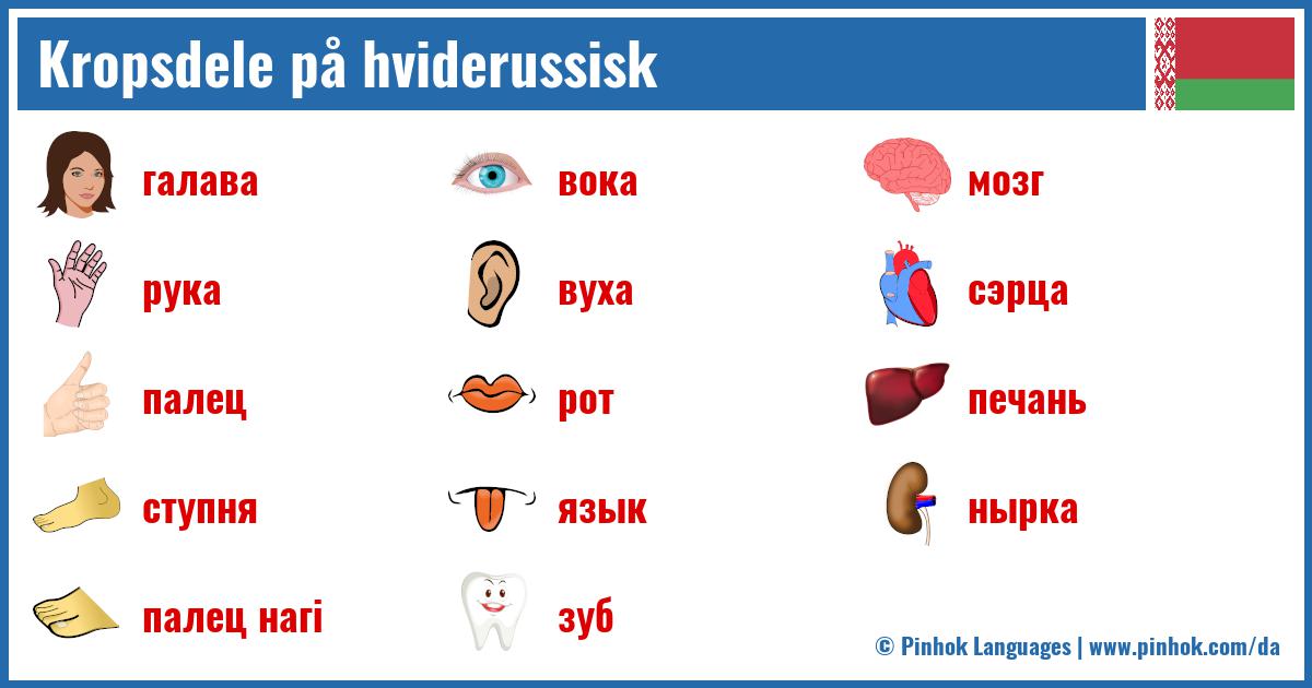 Kropsdele på hviderussisk