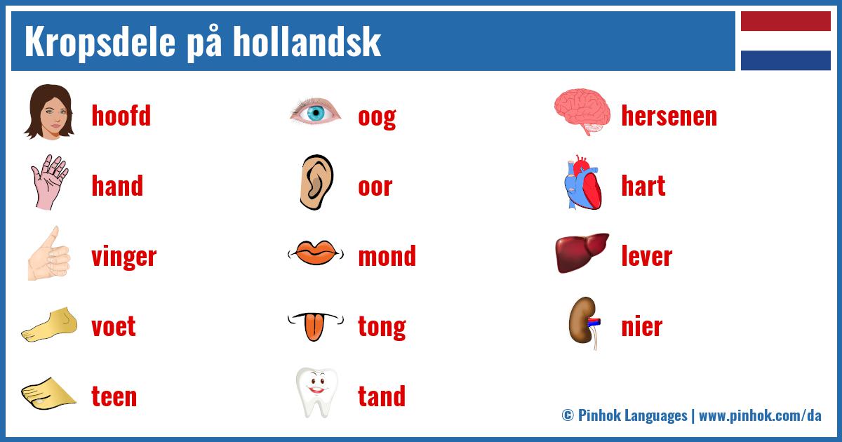 Kropsdele på hollandsk