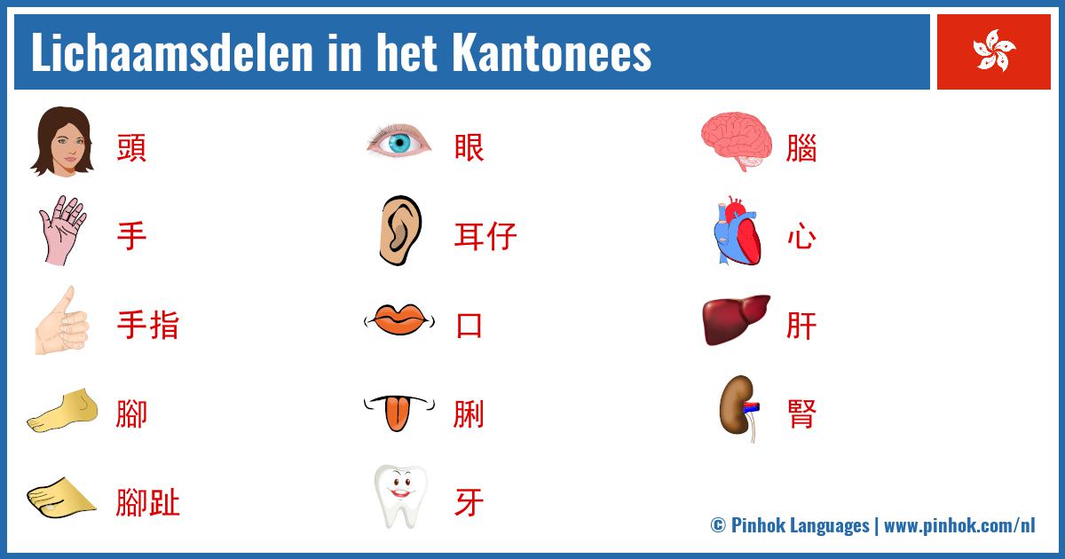 Lichaamsdelen in het Kantonees