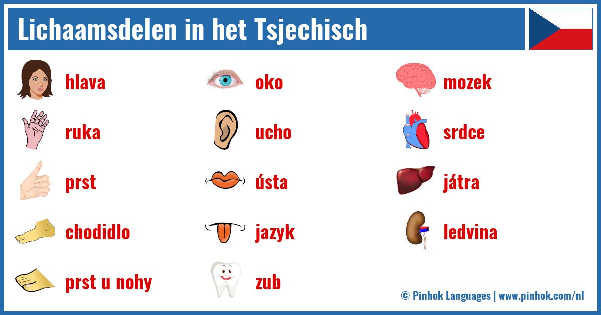 Lichaamsdelen in het Tsjechisch