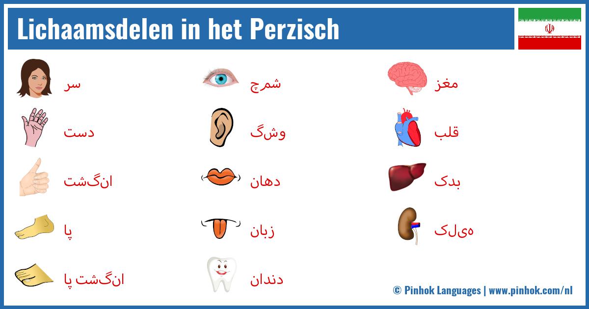 Lichaamsdelen in het Perzisch