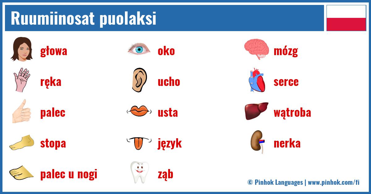 Ruumiinosat puolaksi