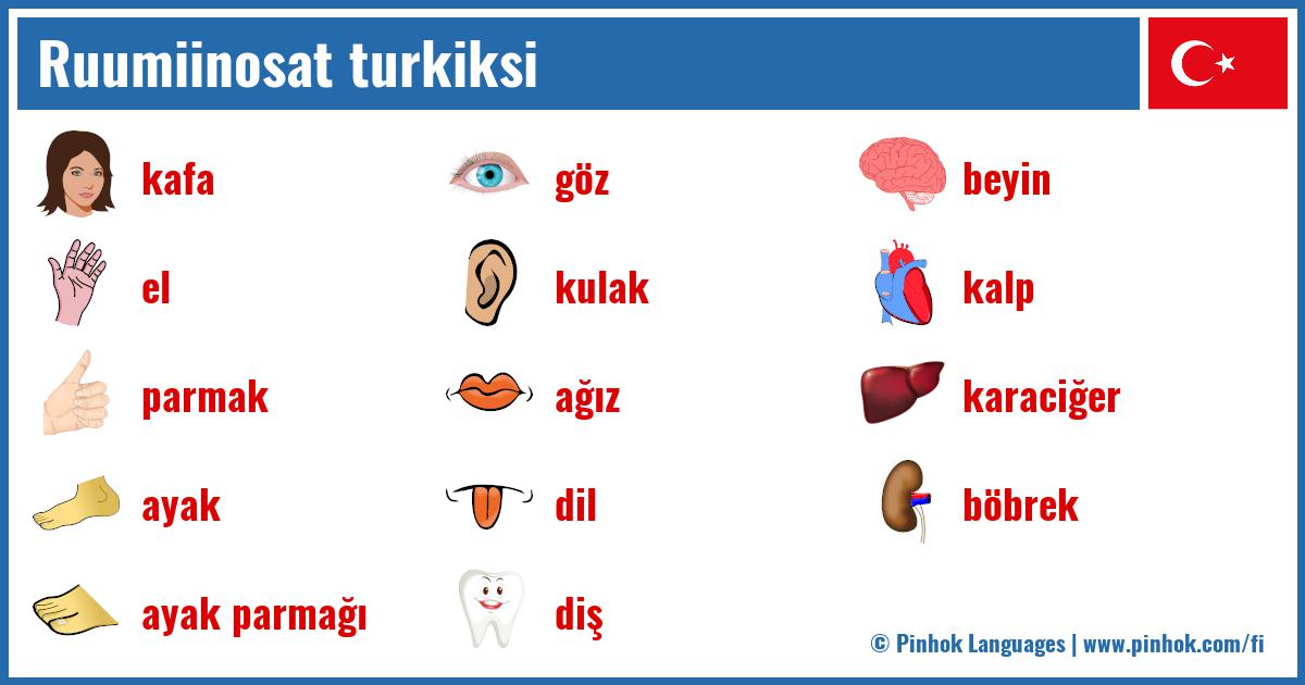 Ruumiinosat turkiksi