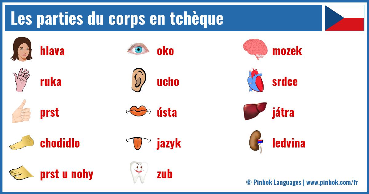 Les parties du corps en tchèque