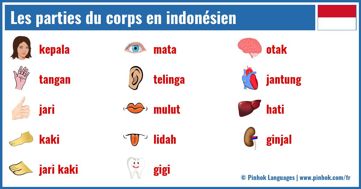 Les parties du corps en indonésien