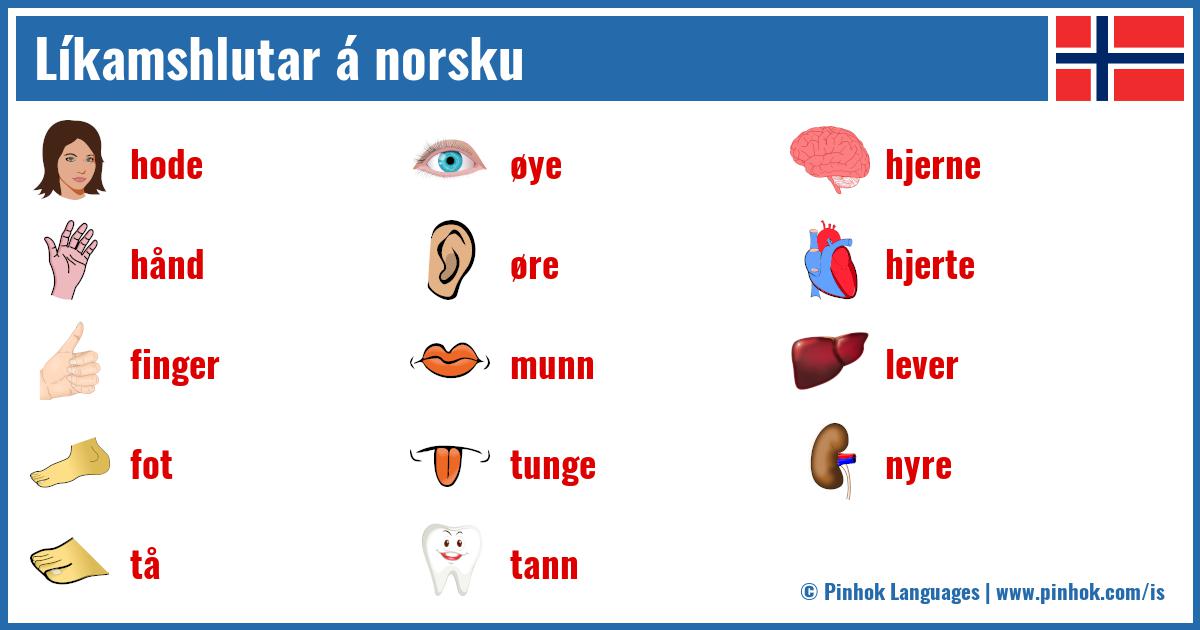 Líkamshlutar á norsku