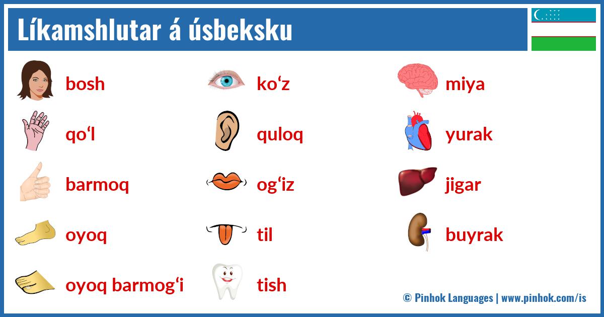 Líkamshlutar á úsbeksku