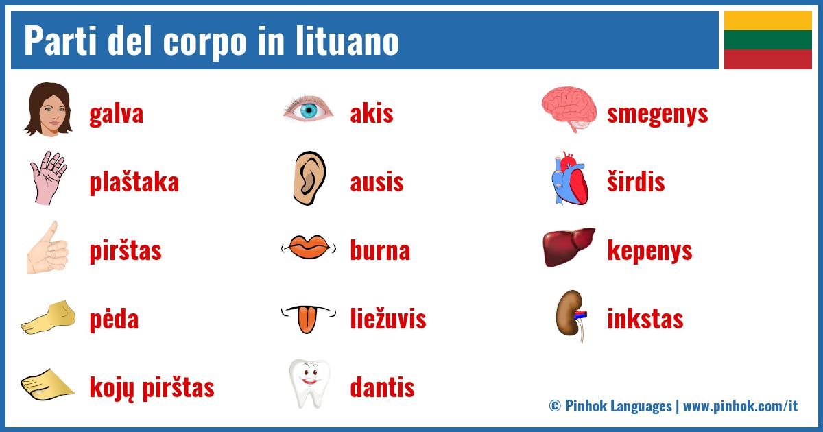 Parti del corpo in lituano