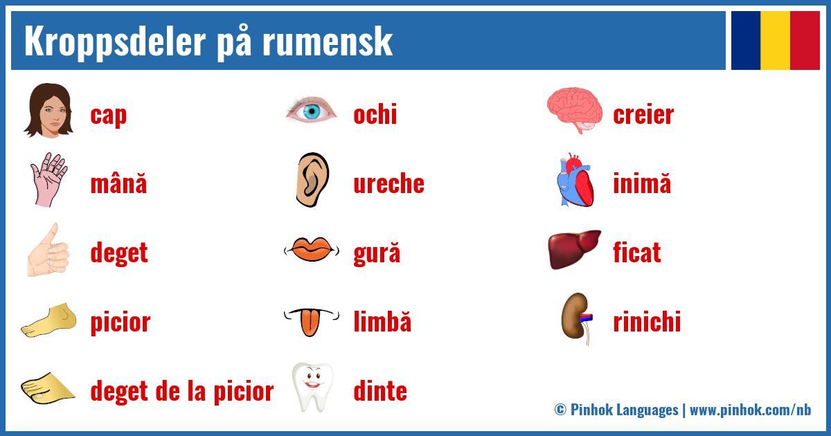 Kroppsdeler på rumensk