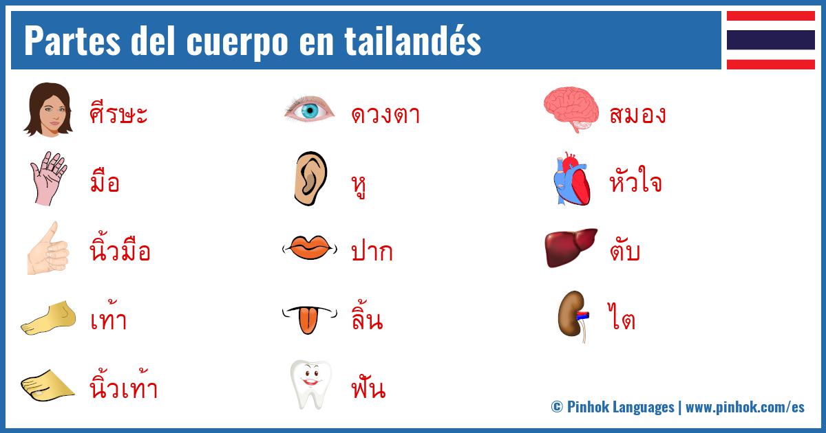 Partes del cuerpo en tailandés